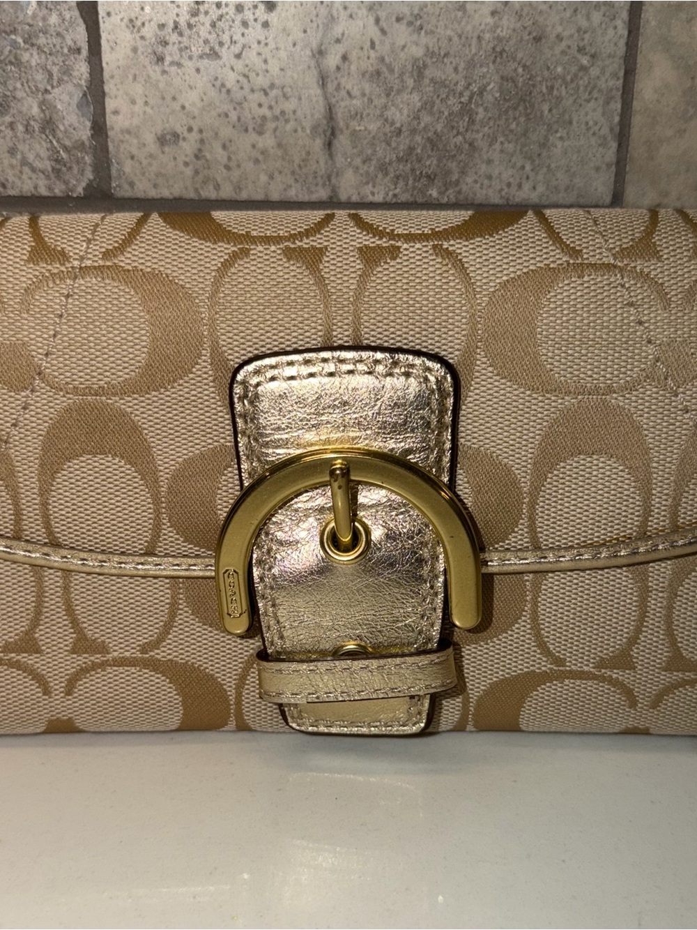 Coach Y2K Soho Signature Long Wallet